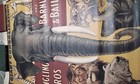 Ringling Bros And Barnum  bailey Circus Poster Great Image  vintage 