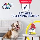 Pet Specialist Urine Destroyer Spray     Pet Stain   Odor Remover  Carpet Cleaner 