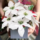 8 Pack 7 Heads Christmas Artificial Poinsettia Flowers Faux Poinsettia Bush B   