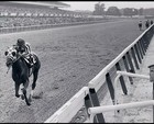 Ron Turcotte Signed Autographed Secretariat Jsa Authenticated Saddle Cloth  Rare