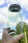 Green  Mason s Cross Patent Nov 30th 1858 Jar