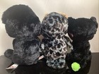 Treats  Midnight    Jinxy - Beanie Boos - Mint No Tags - Ty Plush - Cute Trio