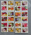 Usps Botanical Art Forever Stamps 5 Booklets Scott 5042-5051 Mnh 100stampstotal 