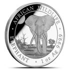 2025 Somalia  somali Republic  Elephant 1 Oz Silver Coin In Capsule
