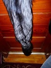 Huge Beautiful Tanned Silver Fox Fur Pelt Skin Taxidermy S2 Man Cave Log Cabin