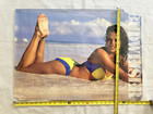 Vtg Budweiser Beer Poster Hot Sexy Babe Model Beach Bikini Bar