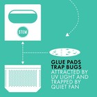Stem Flying Insect Fan Trap Glue Re   ll Pads  10 Count 10 Count  Clear