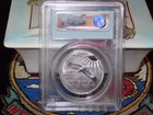 2001 Ms69   registered    100 Platinum Eagle Pcgs Wtc World Trade Center 911