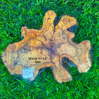 Olive Wood Slices For Crafting And Live Edge Woodworking