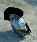 Troy Armor Helmet Medieval Knight Crusader Greek Spartan Helmet