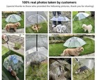 Doggie Umbrella