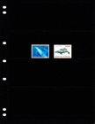  9 00 Scott Value - 2003 Comoros Whales Indian Ocean Scarcer Cv Mnh Nh Umm