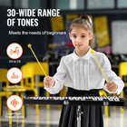 Vevor 30 Note Glockenspiel Xylophone Bell Kit  Professional Percussion Instrumen