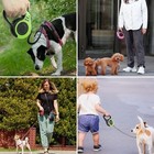 16 5ft Automatic Retractable Dog Leash Pet Collar Automatic Walking Lead Free Us
