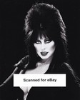 7 Tv Photos  Elvira  Charlie s Angels  Perry Mason  Voyage To Bottom Sea  More 