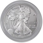 2017 W American Silver Eagle Choice Proof Bullion  1 Coin Ogp Coa