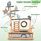 Bird Playground Bird Perch Stand Natural Parrot Playstand Parakeet Platform C   