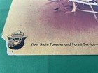 Vintage Poster Sign 1971 Smokey Bear 13 x18 5  forest Fires Burn More Than Trees