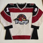 Ak Authentic Peter Cava Rockford Icehogs Ahl Hockey Jersey Vintage White L