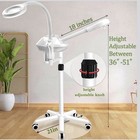 2 In 1 Pro Ozone Facial Steamer With 5x Magnifying Lamp For Salon Spa Home Use