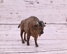 Amazing Antique Austrian Vienna Cold Painted Bronze Figure Of American Bison