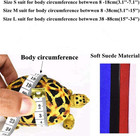 Turtle Harness And Leash With Wings Tortoise Leash Lizard Leash Tortoise Harness
