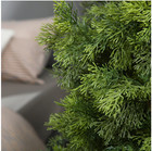 Artificial Cedar Pine Tree Christmas Tree Artificial Topiary Cedar Trees Pott   
