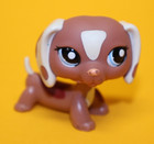 Authentic Lps 1631 Dachshund European Exclusive Target Bonus Pack Dog Rare G2