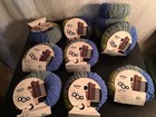 Lot Of 11 Skeins  Bernat Blanket Yarn  10 5 Oz  220 Yds  Color  42015 Scuba