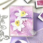 Hero Arts  everyday Sentiment Strips  Clear Stamps Or Stamp   Dies Bundle 2023