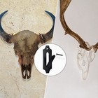 4-pack European Skull Hanger For Deer Antler Wall Mount