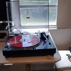 Direct Drive Dj Turntable Black W  Dust Cover  Pitch   -8   33 3 45 78