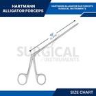 Alligator Forceps Surgical   Veterinary Instruments 10  Stainless German Grade