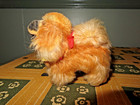 Cute Vintage 1960 s Steiff 4  Mohair Peky Pekinese Dog  Tag   Button Mini Size