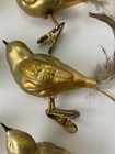 8 Vintage Mercury Blown Glass Gold Glitter Feather Tail Bird Ornaments W  Clips