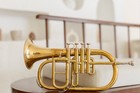Festive Sale Bb 4 Valve Flugelhorn Brass Finish-case And Mouthpiece Flugel Horn 