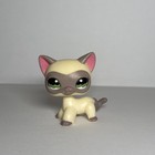 Authentic Littlest Pet Shop  1116 Shorthair Cat   Original Hasbro Lps 