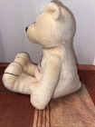 The Stuffed Animal Factory San Francisco Plush 9    Bean Bag Bear