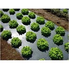 Farm Plastic Supply - Poly Mulch Black Polyethylene Film