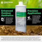 Tordon Rtu Cut Stump Killer - 1 Quart By Corteva With Usa Supply Gloves