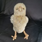 Handcrafted 12  Lifelike Burrowing Owl Stuffed Animal By Hansa
