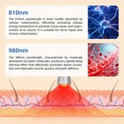 20w High Power Laser Therapy For Pain And Inflammation Deep Tissue Penetration