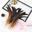 50pcs 10-12inch Long Rooster Coque Tail Feathers Bulk For Diy Crafts
