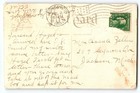 Vintage 1913 Romantic Woman With Kitten Cat Postcard The Pink Perfection Antique