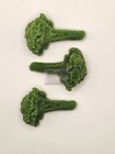 Wax Broccoli  Fake Food  Props  Fake Veggies  15 Pieces
