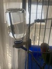 Choco Nose H128 No Drip Guinea Pig Water Bottle Best Small Animal Wire Cage