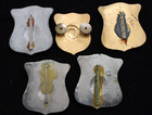 Mixed Lot Of  5  Police Style Badges  Props  Replicas  Security  Or Vintage