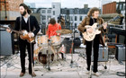 Static Cling Accurate Bassman Sticker Decal Hofner Mccartney Get Back Beatles 