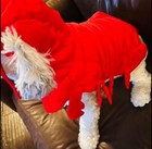 Dog   Cat Pet Red Lobster Crayfish Dress Up Costume Size Large