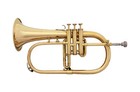  Brass Finish Bb Flat Flugel Horn Free Hard Case mouthpiece